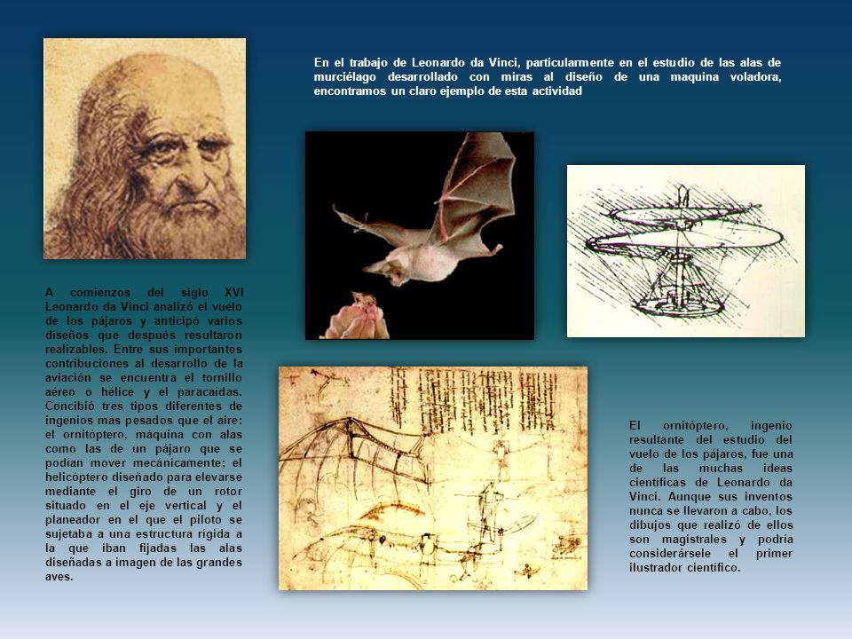 En el trabajo de Leonardo da Vinci, particularmente en el estudio de las alas de murciélago desarrollado con miras al diseño de una maquina voladora, encontramos un claro ejemplo de esta actividad