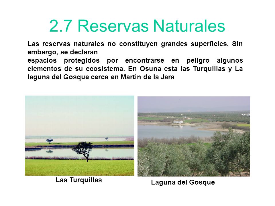 2.7 Reservas Naturales Las reservas naturales no constituyen grandes superficies. Sin embargo, se declaran.