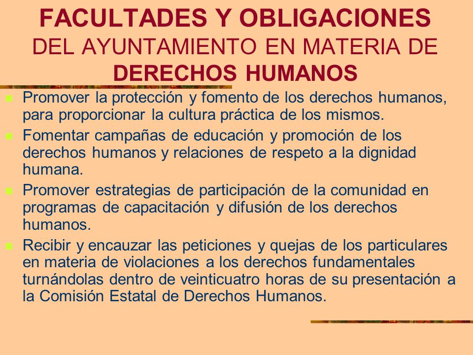 FACULTADES Y OBLIGACIONES DEL AYUNTAMIENTO EN MATERIA DE DERECHOS HUMANOS