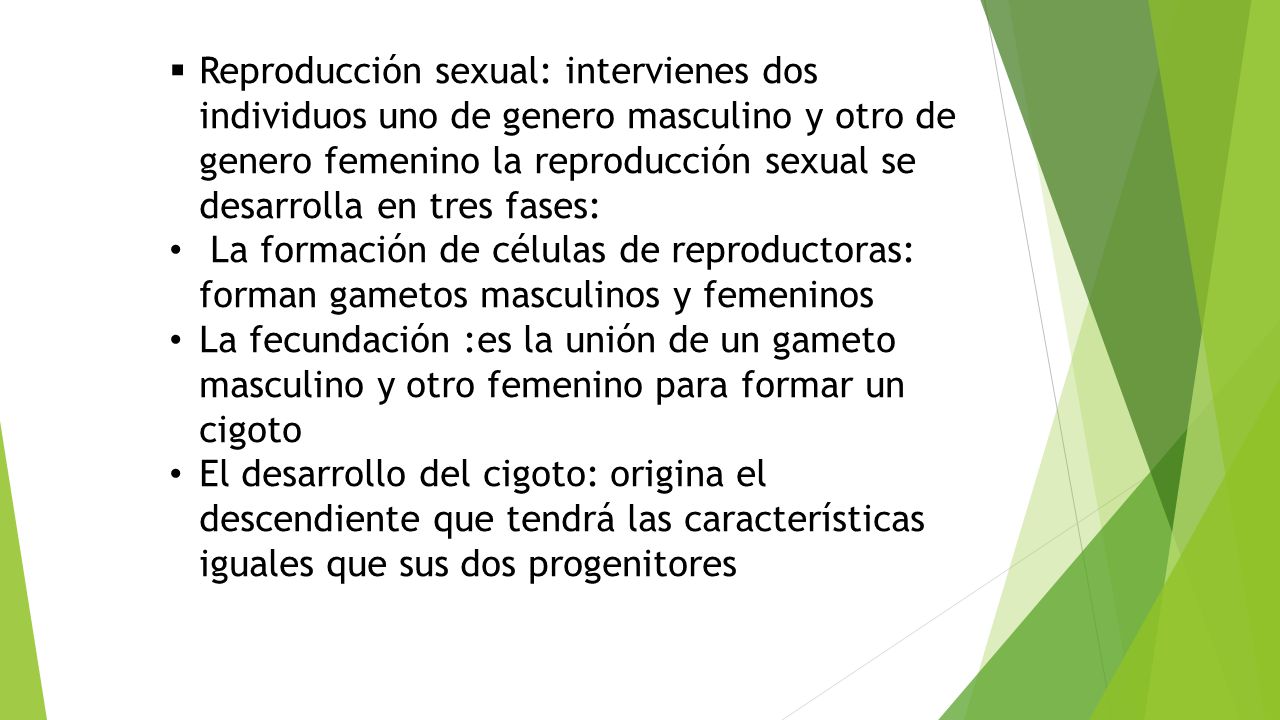 Reproducción sexual: intervienes dos individuos uno de genero masculino y otro de genero femenino la reproducción sexual se desarrolla en tres fases: