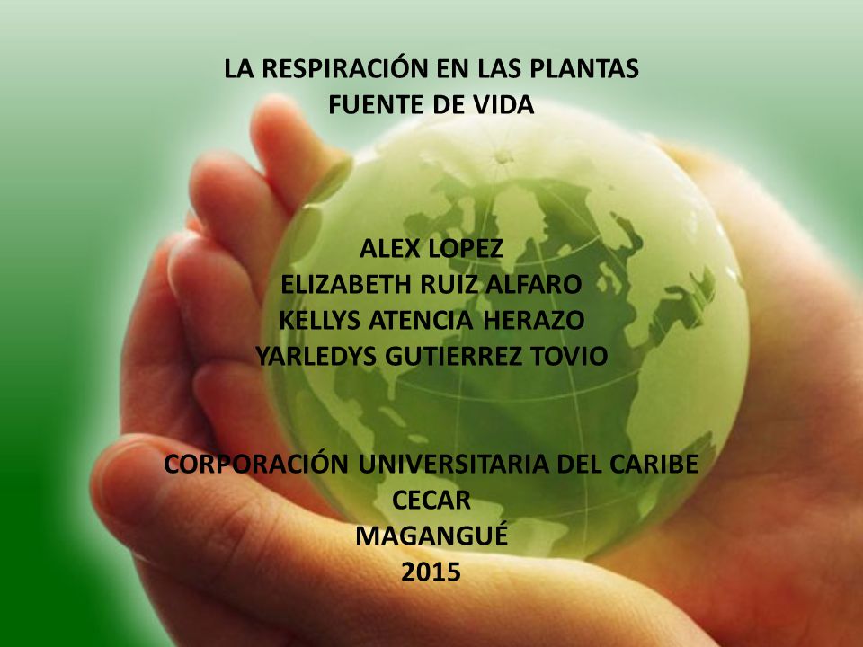 LA RESPIRACIÓN EN LAS PLANTAS FUENTE DE VIDA ALEX LOPEZ ELIZABETH RUIZ ALFARO KELLYS ATENCIA HERAZO YARLEDYS GUTIERREZ TOVIO CORPORACIÓN UNIVERSITARIA DEL CARIBE CECAR MAGANGUÉ 2015
