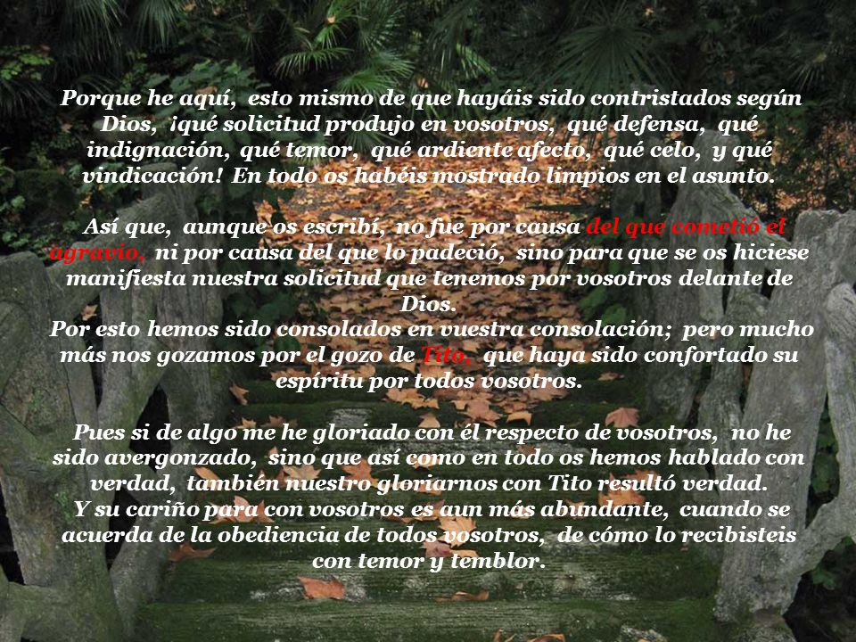 Porque he aquí, esto mismo de que hayáis sido contristados según Dios, ¡qué solicitud produjo en vosotros, qué defensa, qué indignación, qué temor, qué ardiente afecto, qué celo, y qué vindicación! En todo os habéis mostrado limpios en el asunto.
