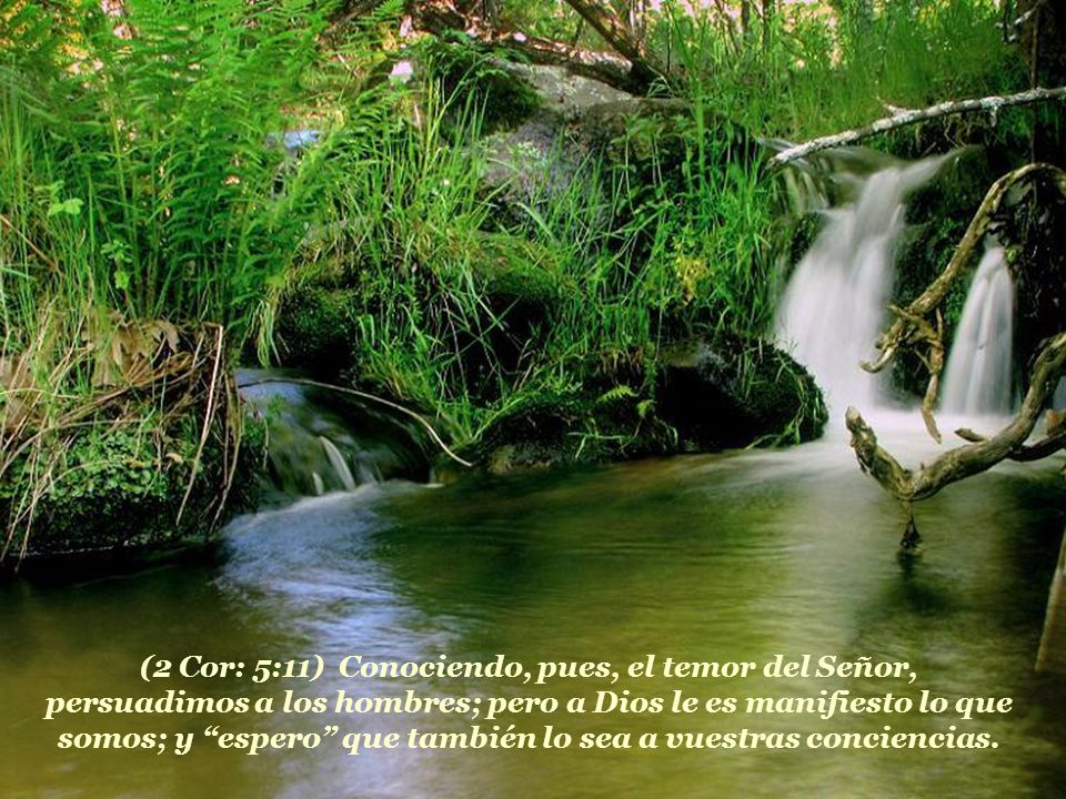 (2 Cor: 5:11) Conociendo, pues, el temor del Señor, persuadimos a los hombres; pero a Dios le es manifiesto lo que somos; y espero que también lo sea a vuestras conciencias.