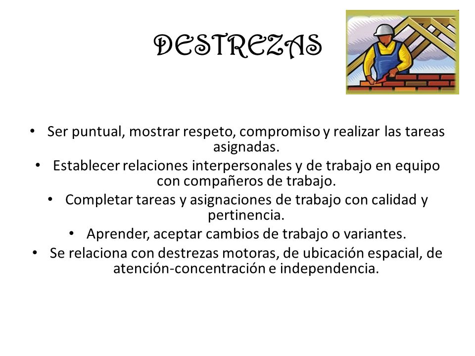 DESTREZAS Ser puntual, mostrar respeto, compromiso y realizar las tareas asignadas.