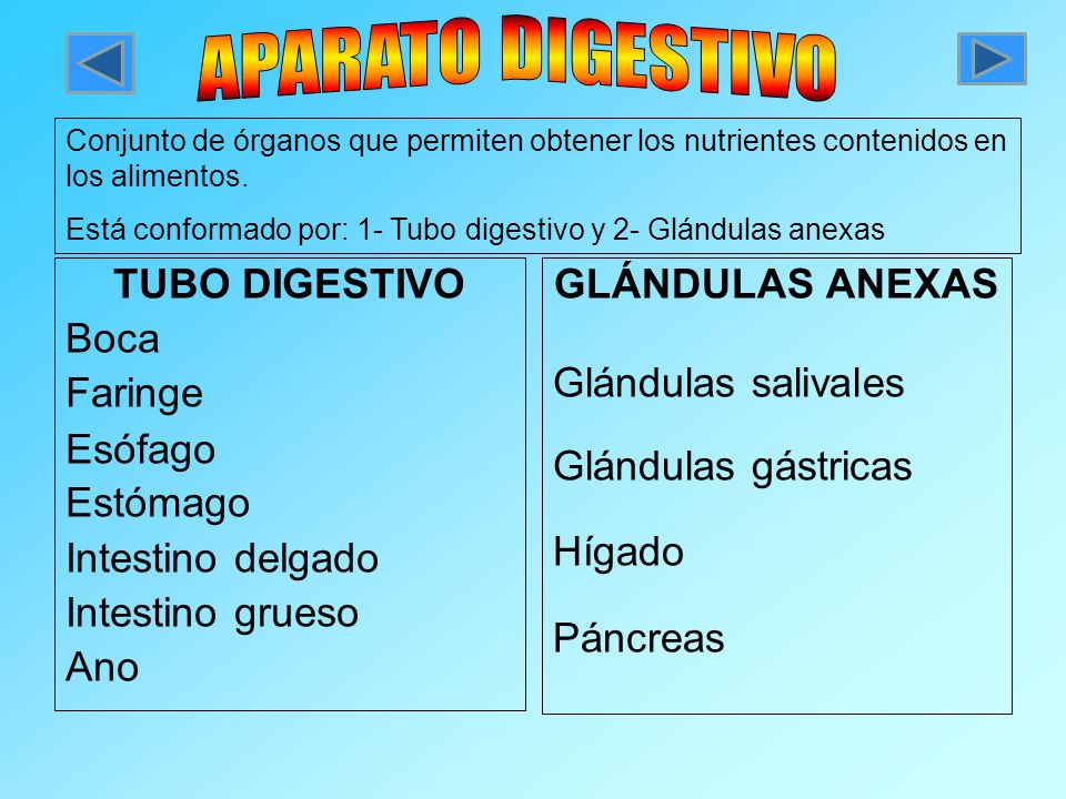 PREGUNTAS DE UNIDAD ¿Cómo se clasifican las sustancias químicas que conforman a los alimentos.