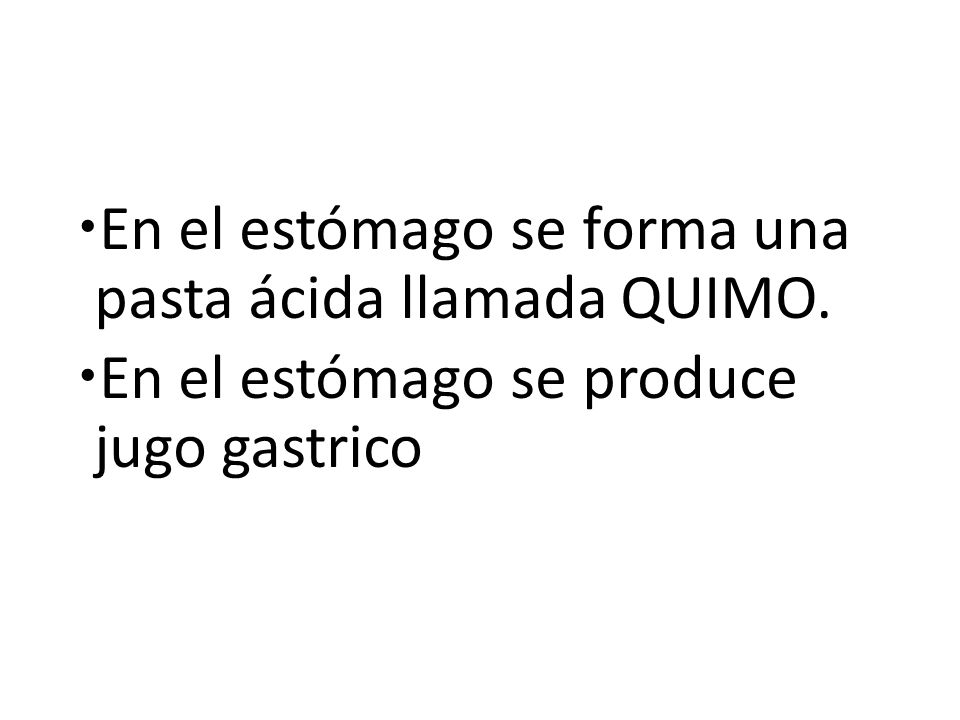En el estómago se forma una pasta ácida llamada QUIMO.