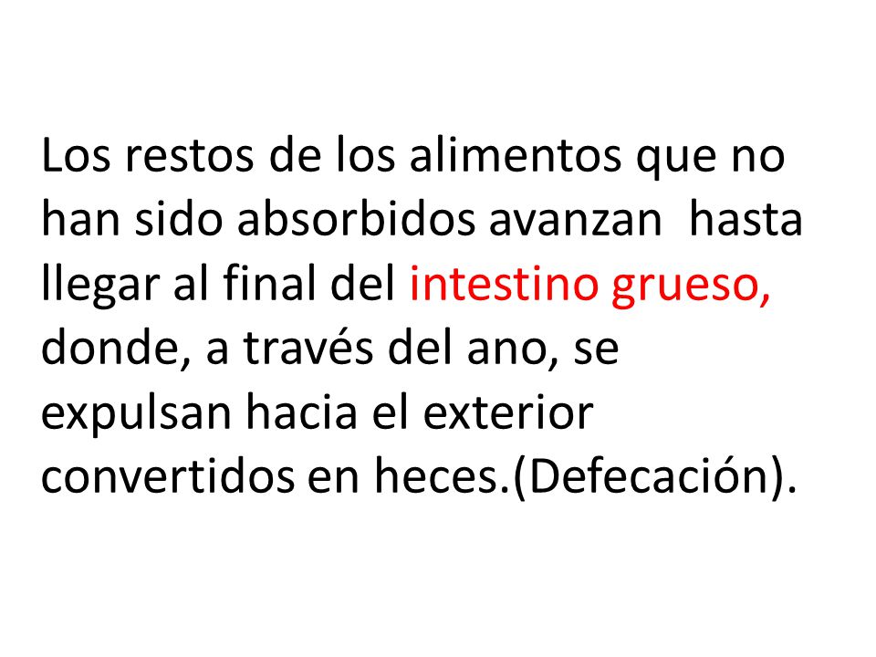 Los restos de los alimentos que no han sido absorbidos avanzan hasta llegar al final del intestino grueso, donde, a través del ano, se expulsan hacia el exterior convertidos en heces.(Defecación).