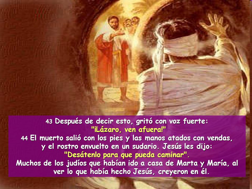 y el rostro envuelto en un sudario. Jesús les dijo: