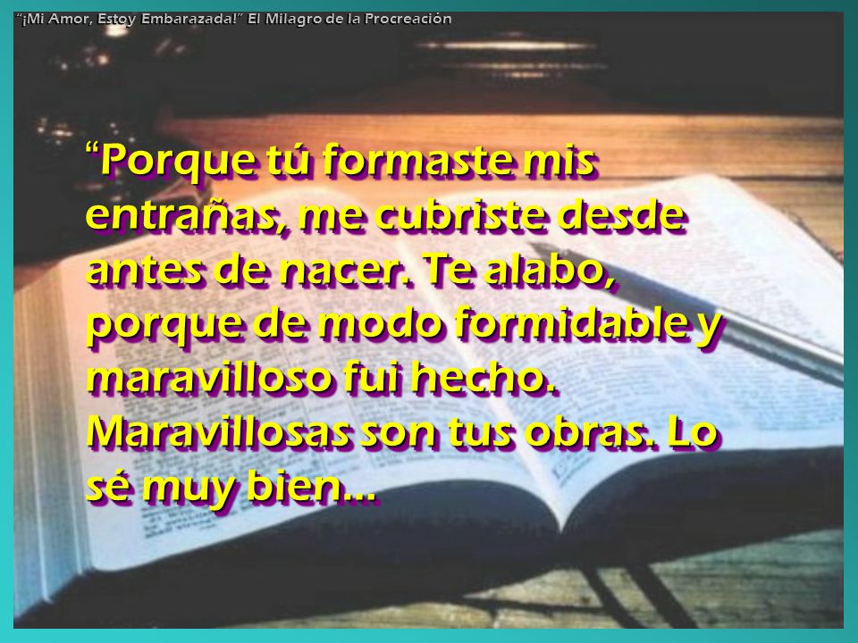 ¡Mi Amor, Estoy Embarazada! El Milagro de la Procreación