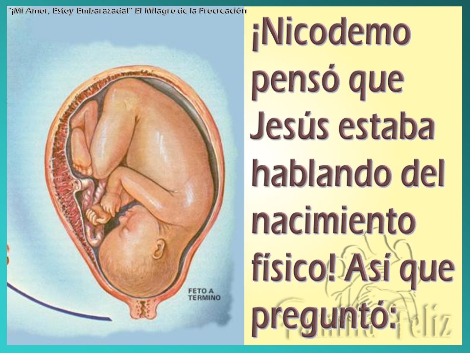¡Mi Amor, Estoy Embarazada! El Milagro de la Procreación