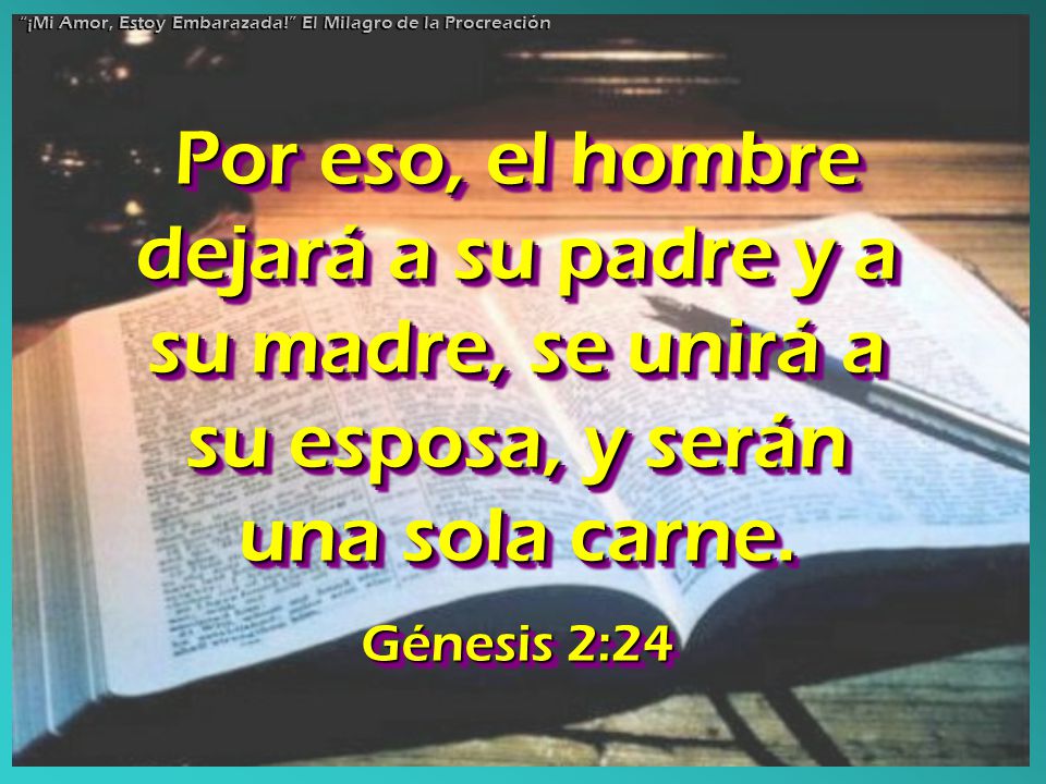¡Mi Amor, Estoy Embarazada! El Milagro de la Procreación