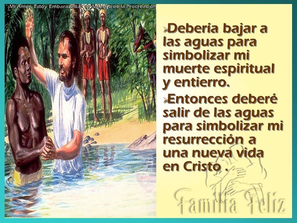 ¡Mi Amor, Estoy Embarazada! El Milagro de la Procreación