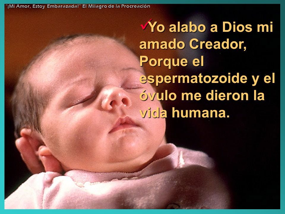 ¡Mi Amor, Estoy Embarazada! El Milagro de la Procreación