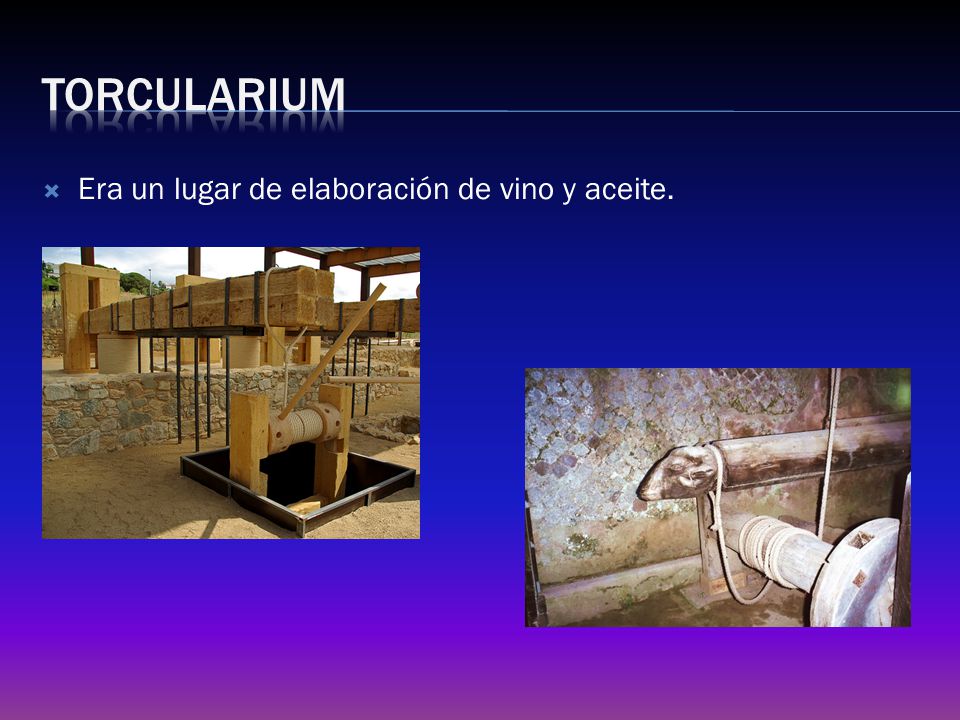 torcularium Era un lugar de elaboración de vino y aceite.
