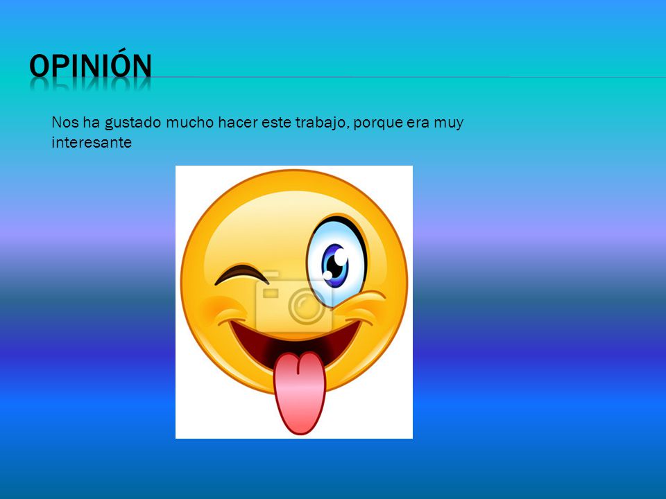 opinión Nos ha gustado mucho hacer este trabajo, porque era muy interesante