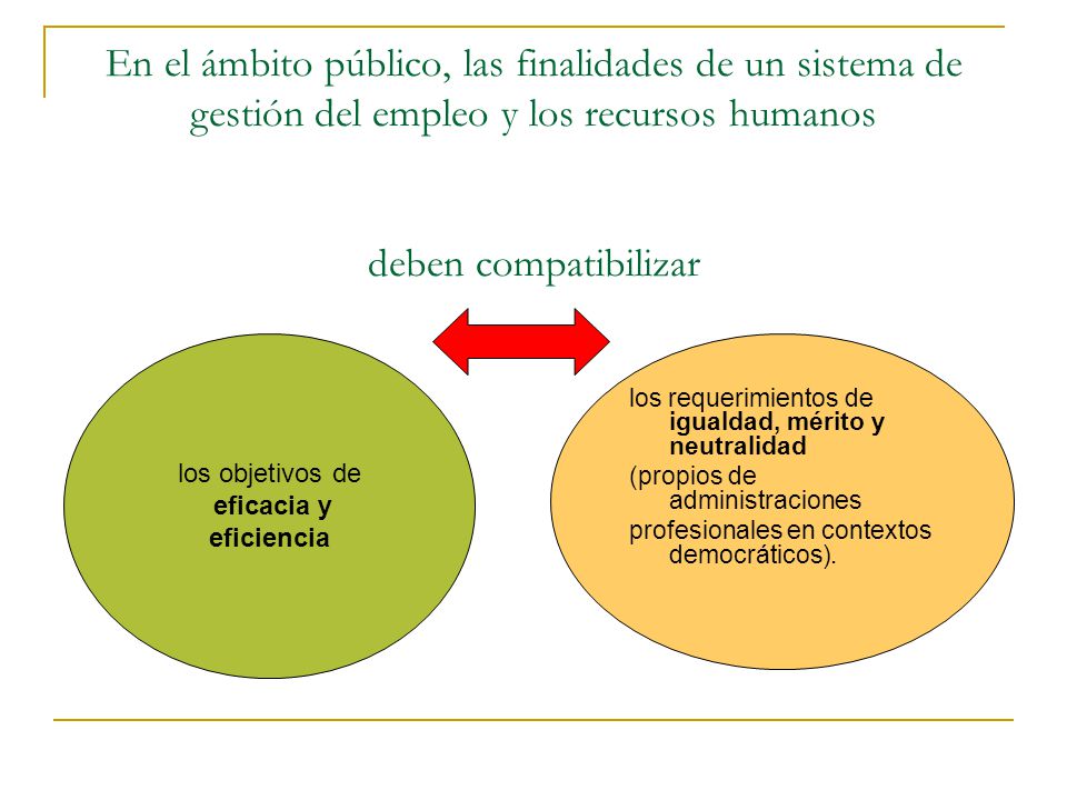 En el ámbito público, las finalidades de un sistema de gestión del empleo y los recursos humanos deben compatibilizar