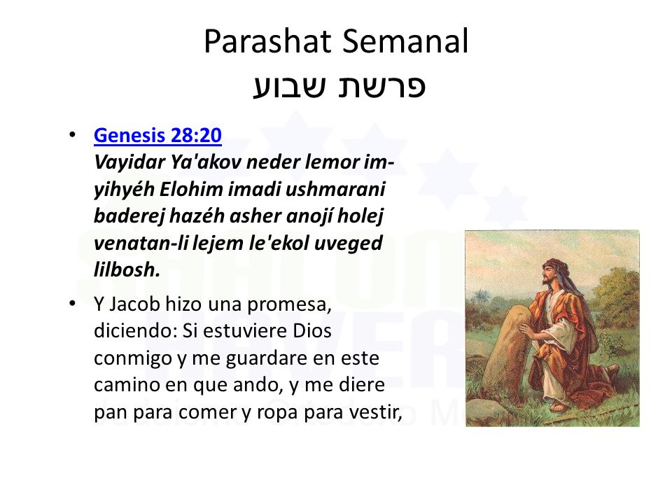 Parashat Semanal פרשת שבוע