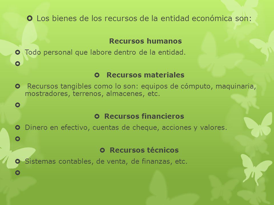 Los bienes de los recursos de la entidad económica son: Recursos humanos