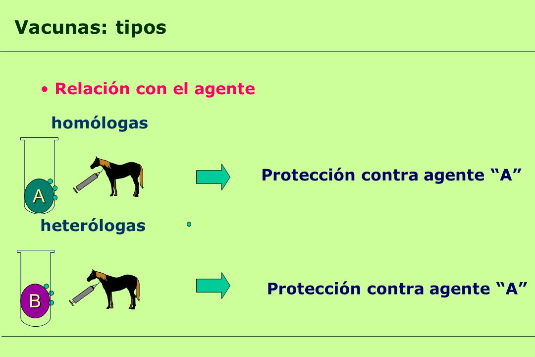 Vacunas: tipos A B Relación con el agente homólogas heterólogas