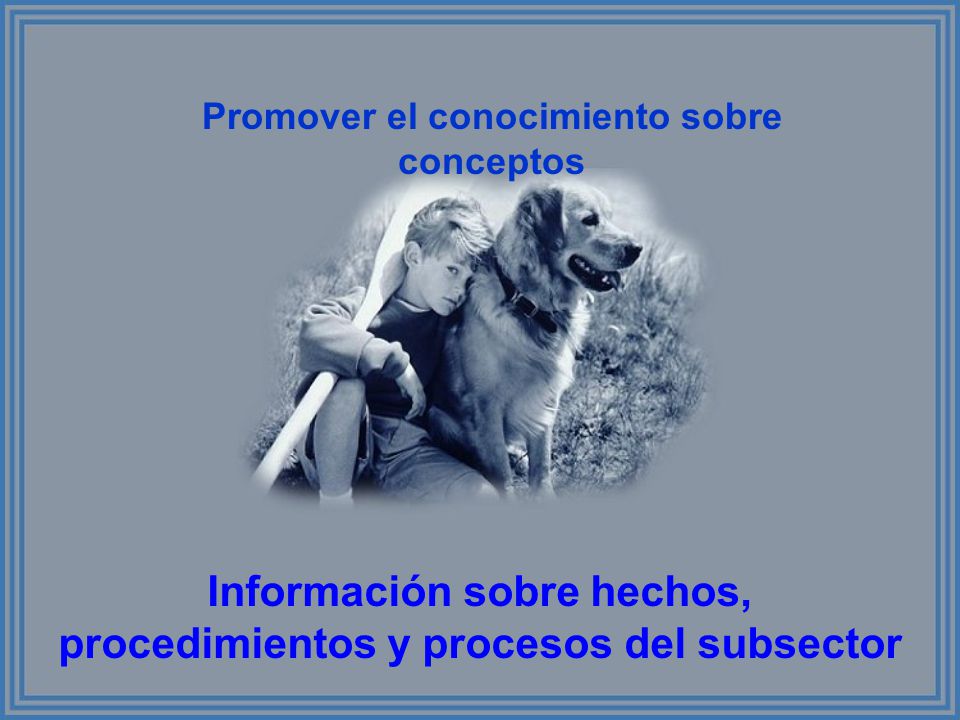 Información sobre hechos, procedimientos y procesos del subsector