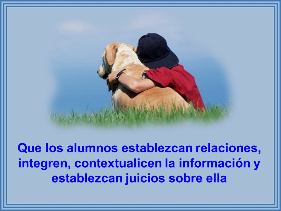 Que los alumnos establezcan relaciones, integren, contextualicen la información y establezcan juicios sobre ella
