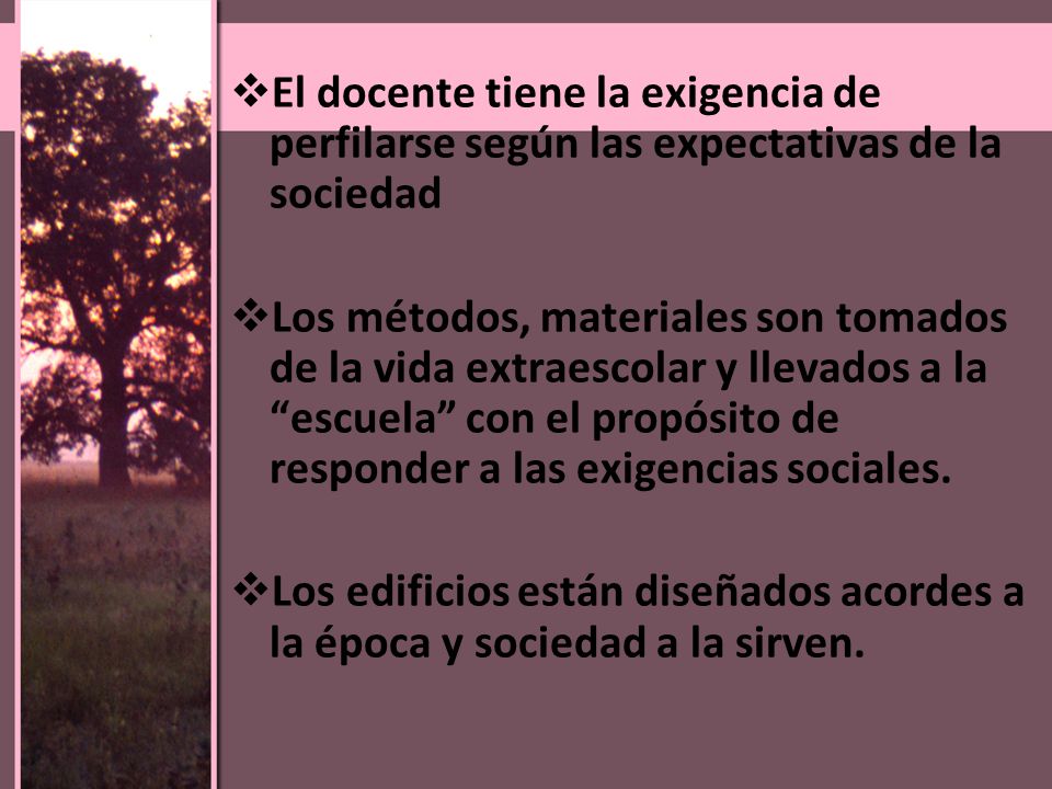 El docente tiene la exigencia de perfilarse según las expectativas de la sociedad