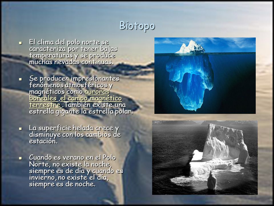Biotopo El clima del polo norte se caracteriza por tener bajas temperaturas y se produce muchas nevadas continuas.