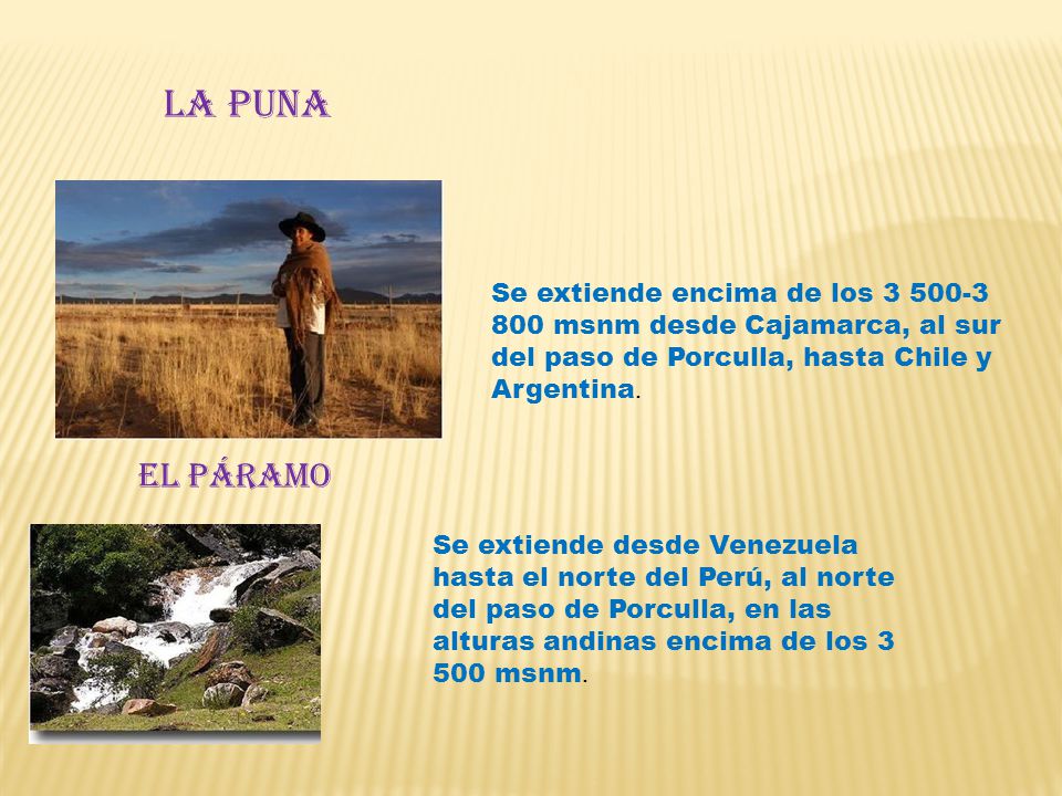 La puna Se extiende encima de los msnm desde Cajamarca, al sur del paso de Porculla, hasta Chile y Argentina.