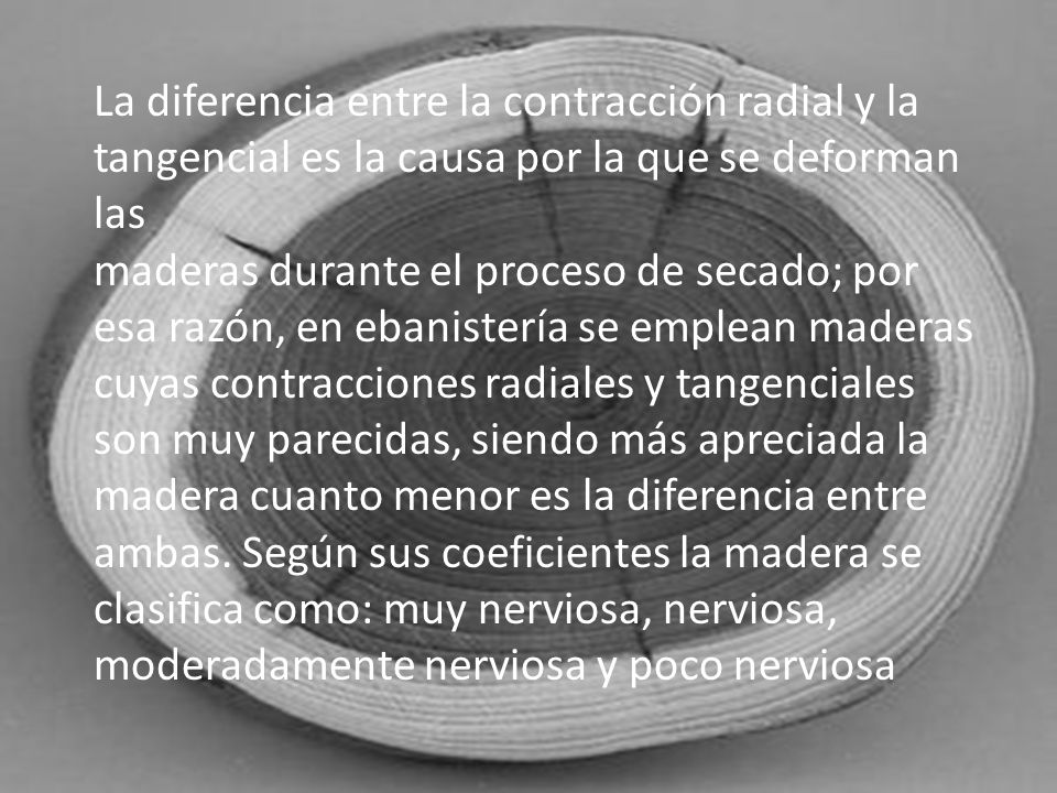 La diferencia entre la contracción radial y la tangencial es la causa por la que se deforman las