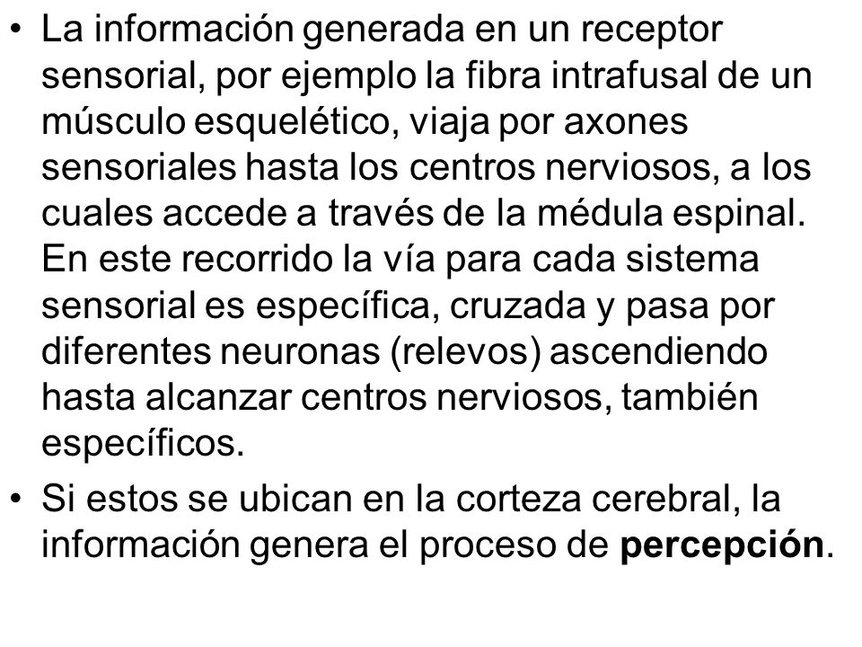 La información generada en un receptor sensorial, por ejemplo la fibra intrafusal de un músculo esquelético, viaja por axones sensoriales hasta los centros nerviosos, a los cuales accede a través de la médula espinal. En este recorrido la vía para cada sistema sensorial es específica, cruzada y pasa por diferentes neuronas (relevos) ascendiendo hasta alcanzar centros nerviosos, también específicos.