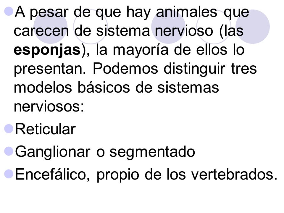 A pesar de que hay animales que carecen de sistema nervioso (las esponjas), la mayoría de ellos lo presentan. Podemos distinguir tres modelos básicos de sistemas nerviosos: