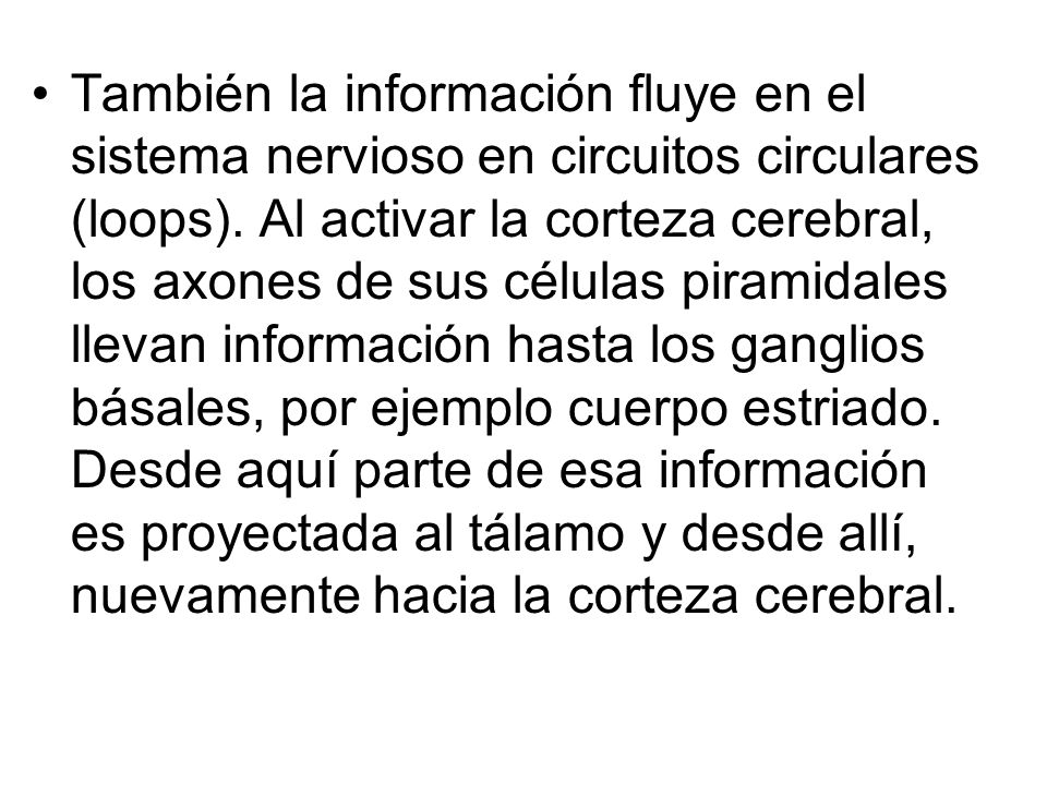 También la información fluye en el sistema nervioso en circuitos circulares (loops).