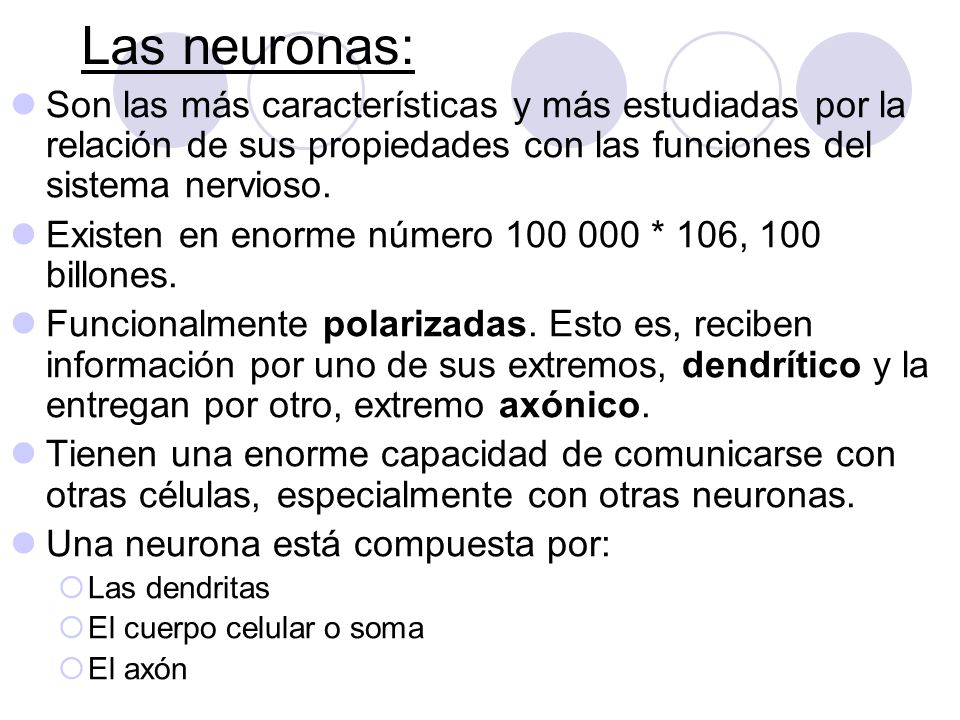 Las neuronas: Son las más características y más estudiadas por la relación de sus propiedades con las funciones del sistema nervioso.