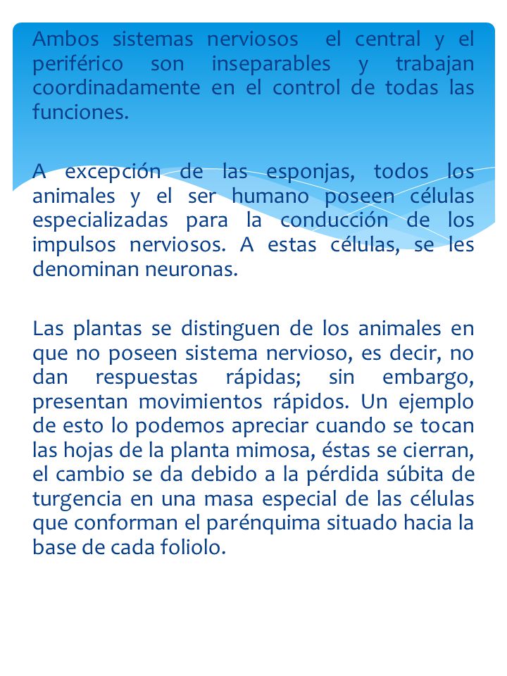 Ambos sistemas nerviosos el central y el periférico son inseparables y trabajan coordinadamente en el control de todas las funciones.