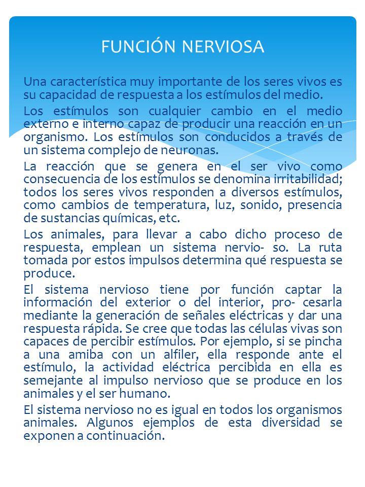 FUNCIÓN NERVIOSA Una característica muy importante de los seres vivos es su capacidad de respuesta a los estímulos del medio.