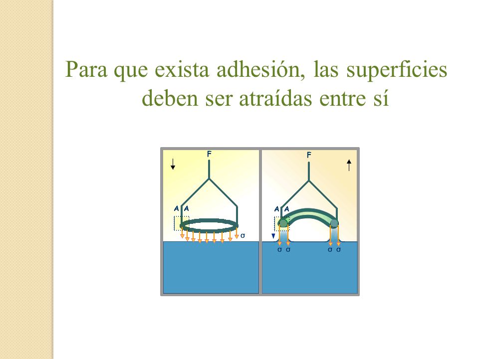 Para que exista adhesión, las superficies deben ser atraídas entre sí