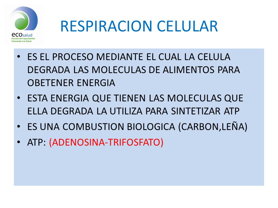 RESPIRACION CELULAR ES EL PROCESO MEDIANTE EL CUAL LA CELULA DEGRADA LAS MOLECULAS DE ALIMENTOS PARA OBETENER ENERGIA.