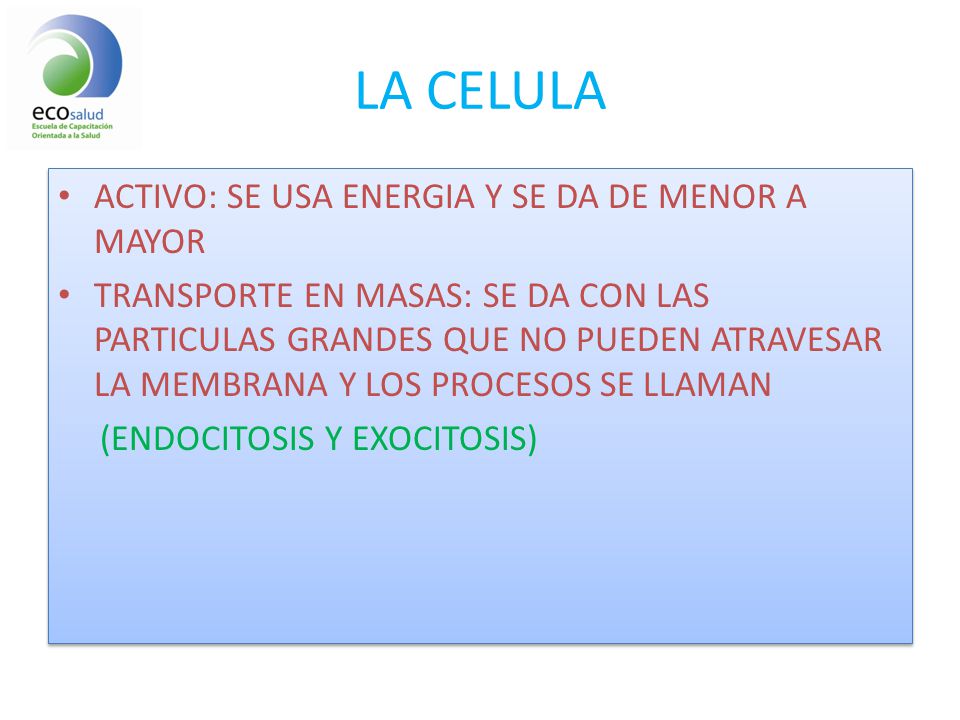 LA CELULA ACTIVO: SE USA ENERGIA Y SE DA DE MENOR A MAYOR