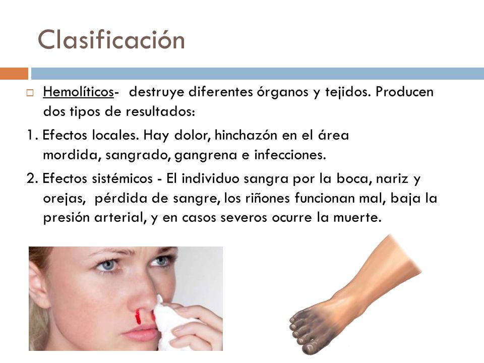 Clasificación Hemolíticos- destruye diferentes órganos y tejidos. Producen dos tipos de resultados:
