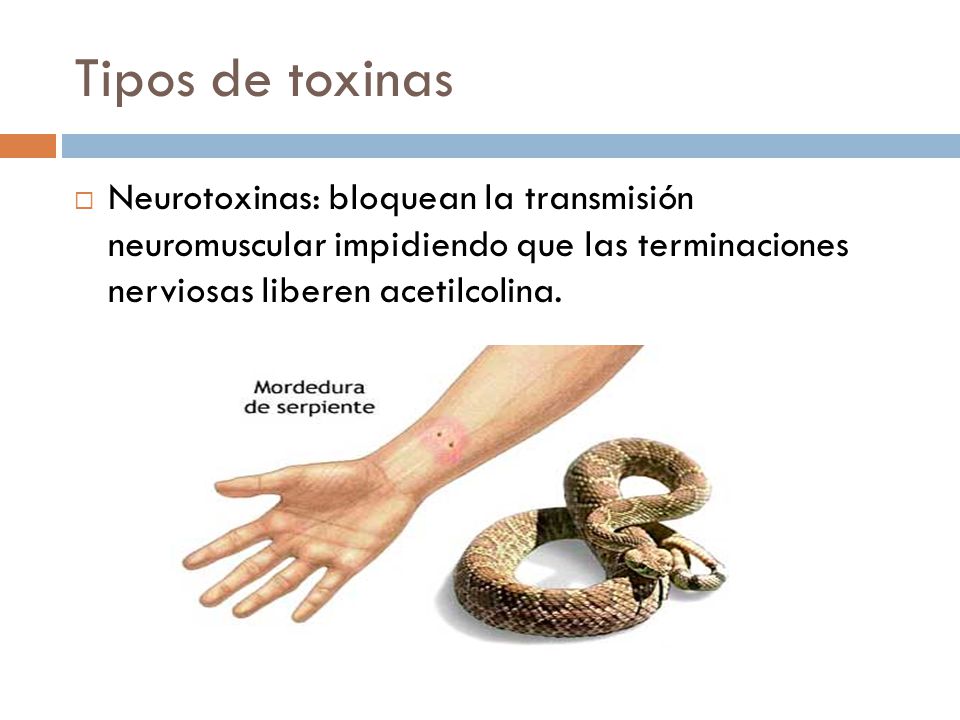Tipos de toxinas Neurotoxinas: bloquean la transmisión neuromuscular impidiendo que las terminaciones nerviosas liberen acetilcolina.