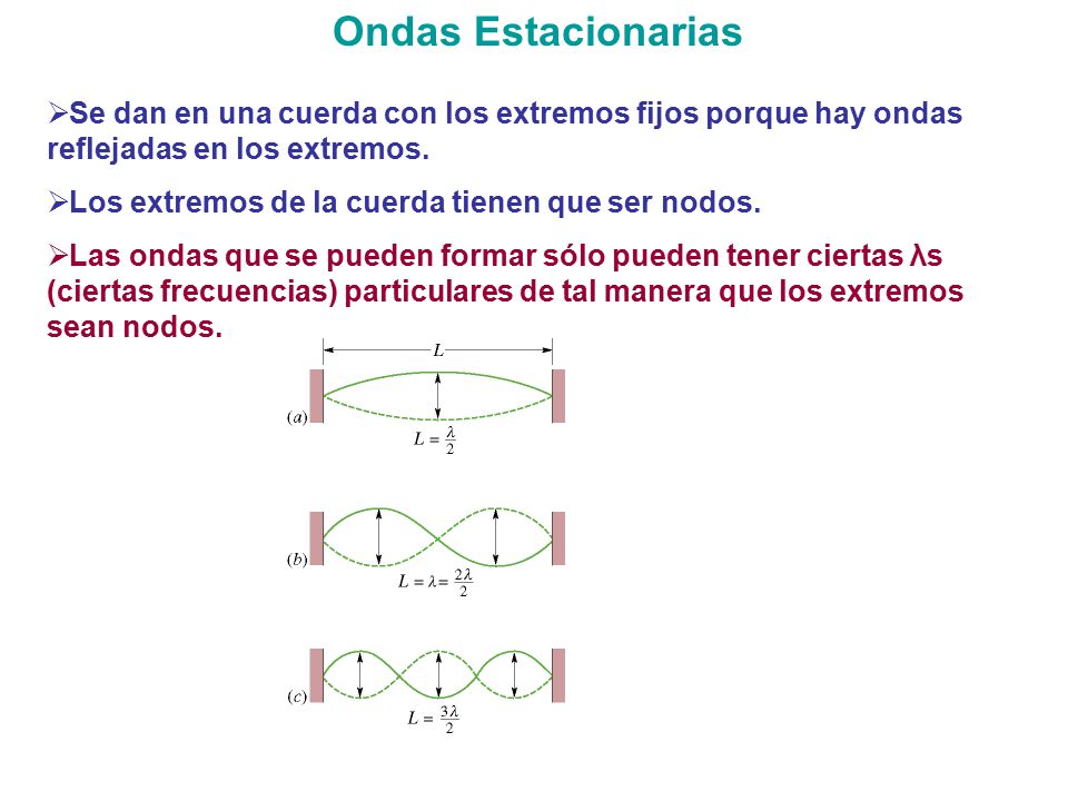 Ondas Estacionarias Se dan en una cuerda con los extremos fijos porque hay ondas reflejadas en los extremos.