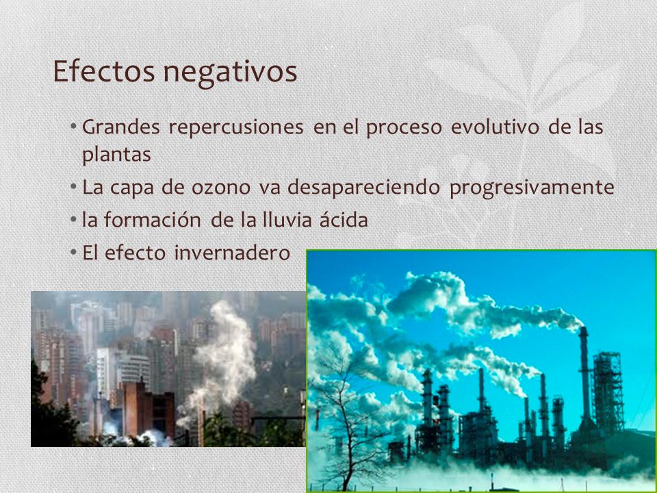 Efectos negativos Grandes repercusiones en el proceso evolutivo de las plantas. La capa de ozono va desapareciendo progresivamente.