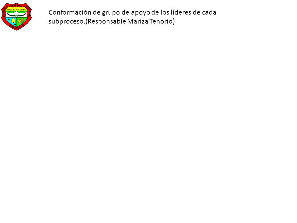 Conformación de grupo de apoyo de los líderes de cada subproceso