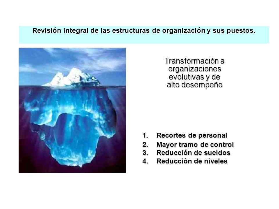 Revisión integral de las estructuras de organización y sus puestos.
