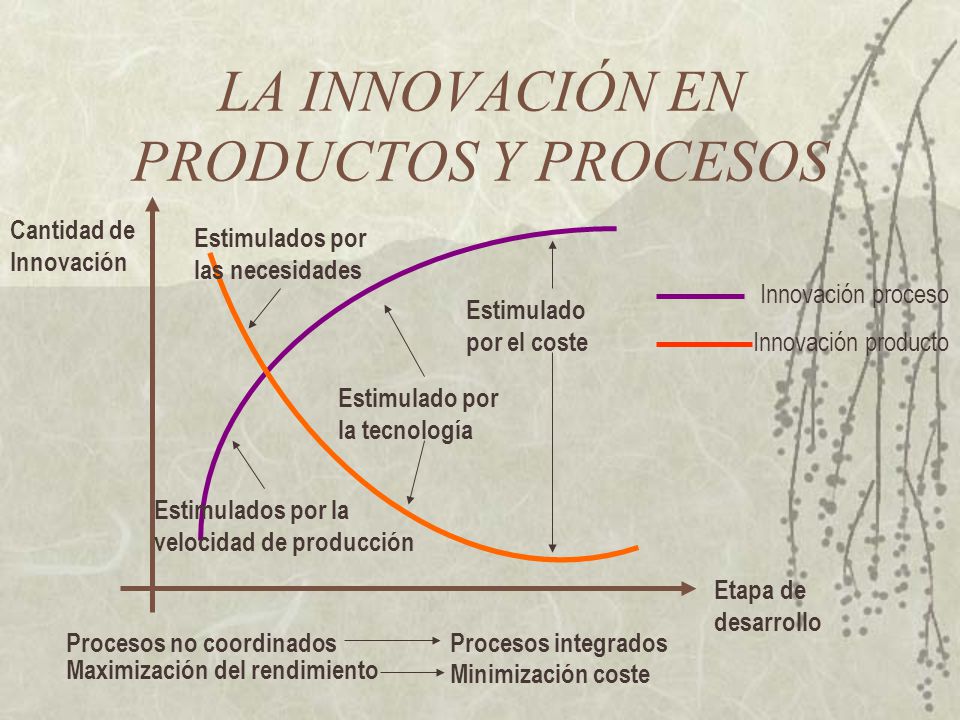LA INNOVACIÓN EN PRODUCTOS Y PROCESOS