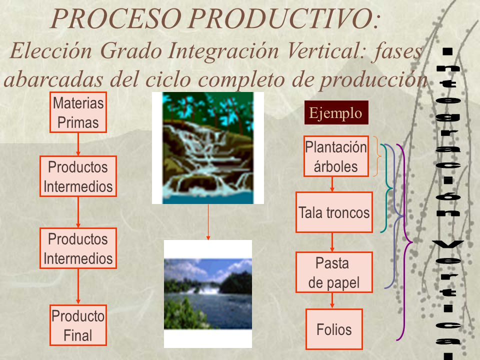 PROCESO PRODUCTIVO: Elección Grado Integración Vertical: fases abarcadas del ciclo completo de producción