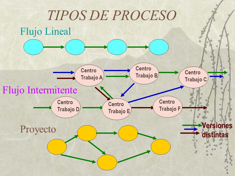 TIPOS DE PROCESO Flujo Lineal Flujo Intermitente Proyecto Versiones