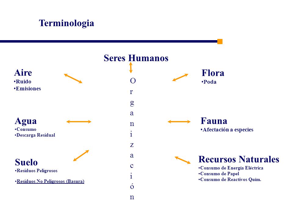 Terminologia Seres Humanos Aire Flora Agua Fauna Recursos Naturales