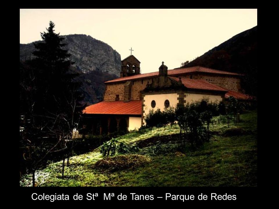 Colegiata de Stª Mª de Tanes – Parque de Redes