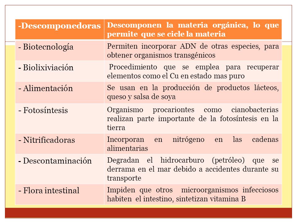 - Alimentación - Fotosíntesis - Nitrificadoras - Flora intestinal